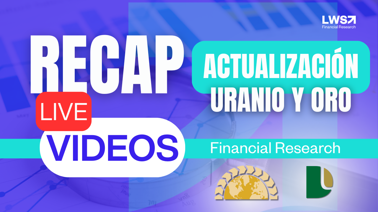 Recap Mensual 2024-XI — LWS Financial Research
